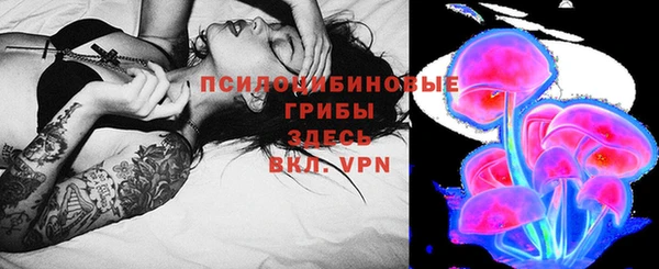 соль курить ск Переславль-Залесский